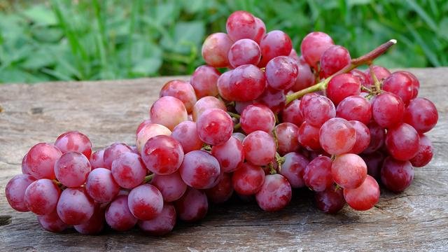 Yuk, Intip Kandungan Manfaat Dari Buah Anggur Merah untuk Kesehatan